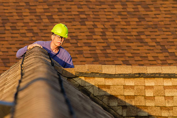 Roof Gutter Cleaning in Pelican Marsh, FL
